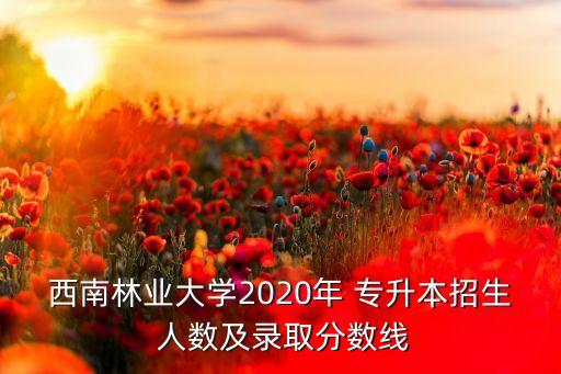 西南林業(yè)大學(xué)2020年 專升本招生 人數(shù)及錄取分?jǐn)?shù)線