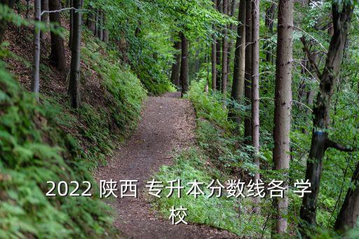 2022 陜西 專升本分數(shù)線各 學校