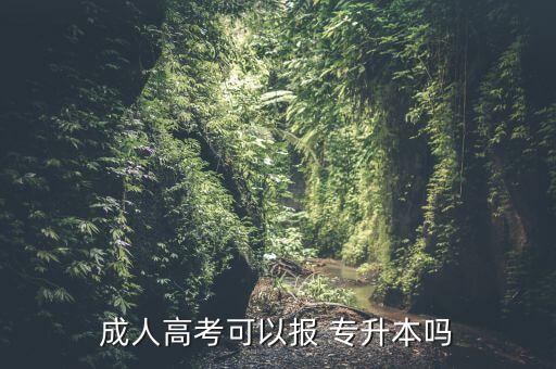 成人高考可以報 專升本嗎