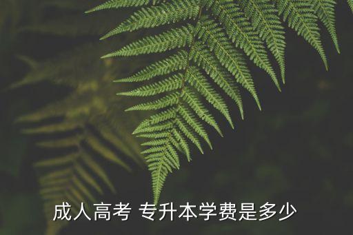 成人高考 專升本學(xué)費(fèi)是多少