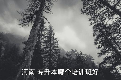 河南 專升本哪個(gè)培訓(xùn)班好