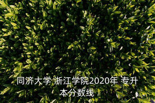 同濟(jì)大學(xué) 浙江學(xué)院2020年 專升本分?jǐn)?shù)線