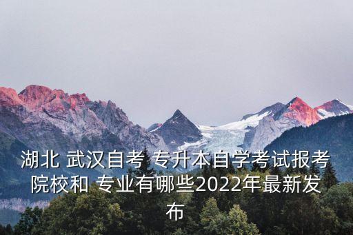 湖北 武漢自考 專升本自學(xué)考試報考院校和 專業(yè)有哪些2022年最新發(fā)布