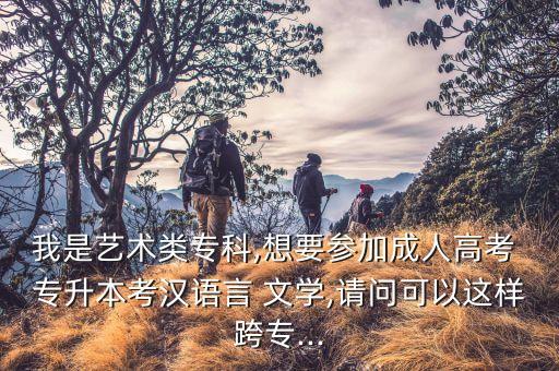 專升本文學(xué)理論考試,文學(xué)理論考試題