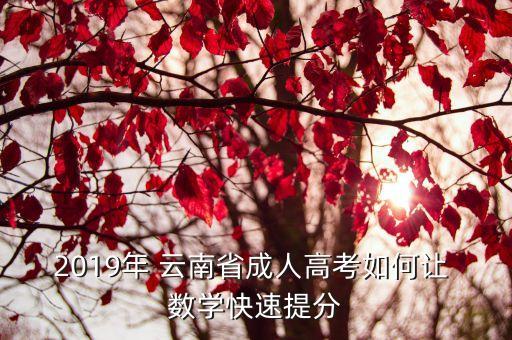 2019年 云南省成人高考如何讓 數(shù)學快速提分