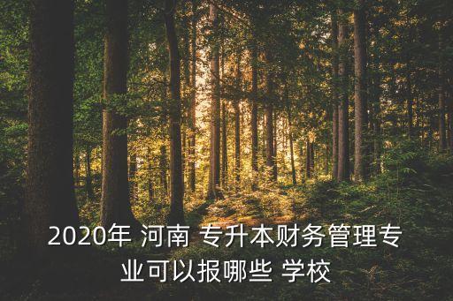 2020年 河南 專升本財(cái)務(wù)管理專業(yè)可以報(bào)哪些 學(xué)校