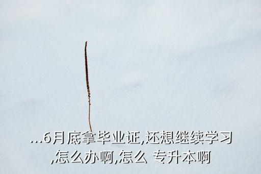 自學(xué)參加醫(yī)學(xué)專(zhuān)升本,專(zhuān)升本自學(xué)好還是報(bào)培訓(xùn)班好