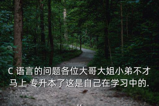 C 語言的問題各位大哥大姐小弟不才馬上 專升本了這是自己在學習中的...