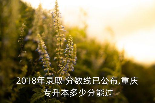 2018年錄取 分數(shù)線已公布,重慶 專升本多少分能過