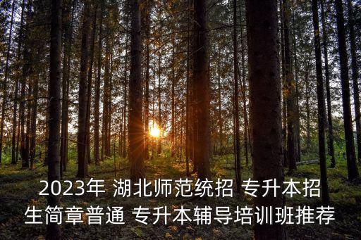 2023年 湖北師范統(tǒng)招 專升本招生簡章普通 專升本輔導培訓班推薦