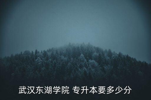 武漢東湖學院 專升本要多少分