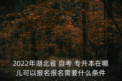 2022年湖北省 自考 專升本在哪兒可以報(bào)名報(bào)名需要什么條件