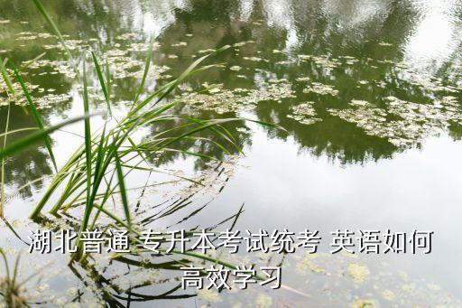 湖北普通 專升本考試統(tǒng)考 英語如何高效學(xué)習(xí)