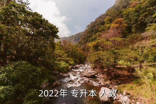 2022年 專升本 人數(shù)