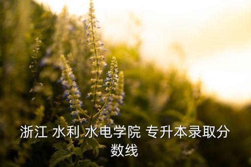 浙江 水利 水電學(xué)院 專升本錄取分?jǐn)?shù)線