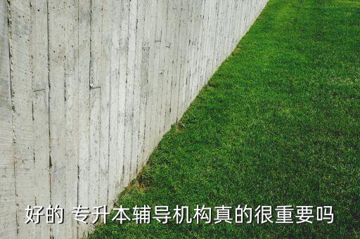 好的 專升本輔導機構真的很重要嗎