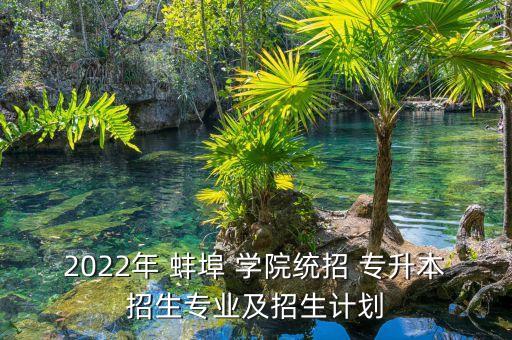 2022年 蚌埠 學院統(tǒng)招 專升本招生專業(yè)及招生計劃