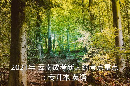 2021年 云南成考新大綱考點(diǎn)重點(diǎn): 專升本 英語