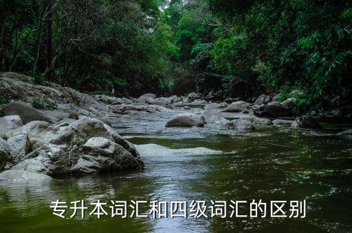  專升本詞匯和四級詞匯的區(qū)別