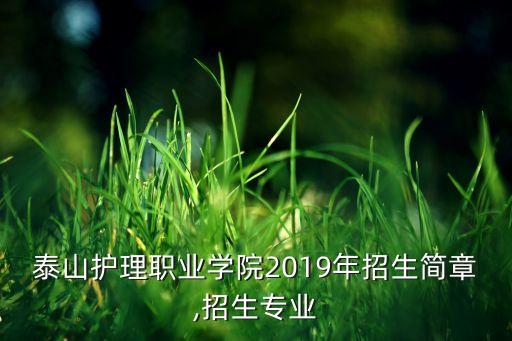 泰山護(hù)理職業(yè)學(xué)院2019年招生簡章,招生專業(yè)