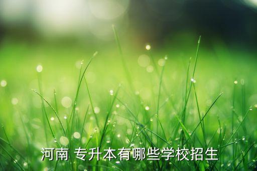 河南的大學(xué)可以專升本,河南科技職業(yè)大學(xué)專升本