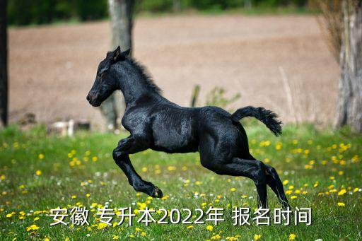 安徽 專(zhuān)升本2022年 報(bào)名時(shí)間