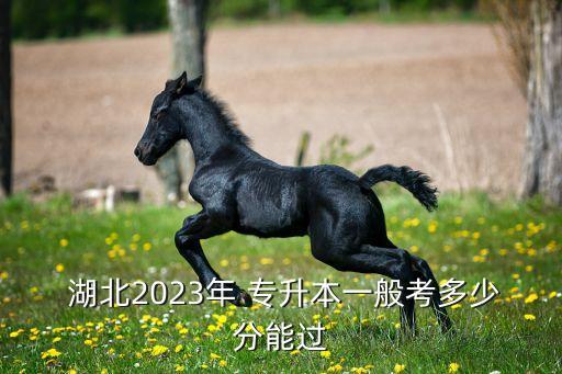  湖北2023年 專升本一般考多少分能過(guò)