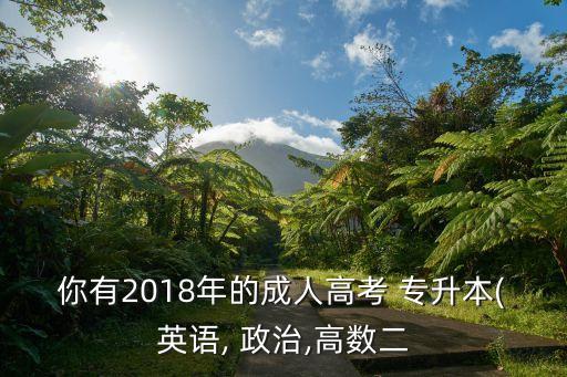 你有2018年的成人高考 專升本(英語, 政治,高數(shù)二