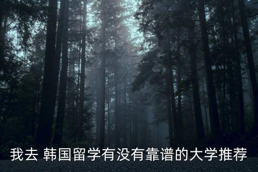 我去 韓國(guó)留學(xué)有沒有靠譜的大學(xué)推薦