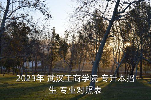 2023年 武漢工商學(xué)院 專升本招生 專業(yè)對照表