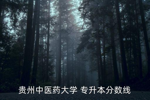 貴州中醫(yī)藥大學(xué) 專升本分?jǐn)?shù)線