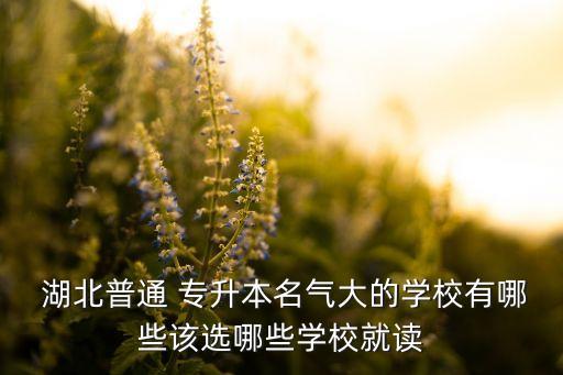  湖北普通 專升本名氣大的學(xué)校有哪些該選哪些學(xué)校就讀