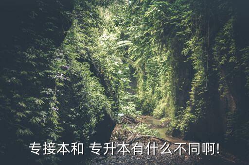 華北理工大學(xué)專升本考試分?jǐn)?shù)線