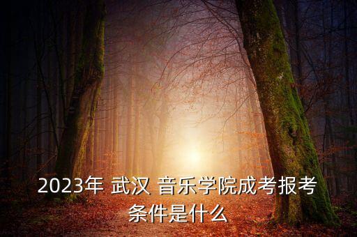 2023年 武漢 音樂學(xué)院成考報(bào)考條件是什么