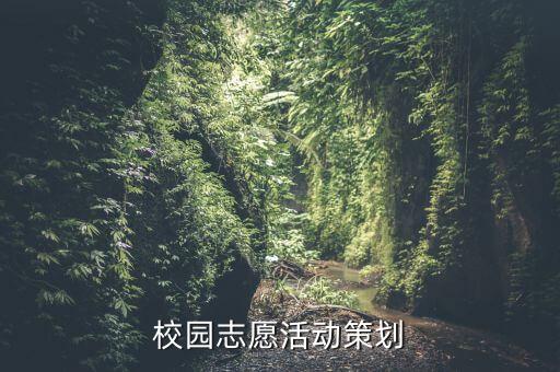 校園志愿活動(dòng)策劃