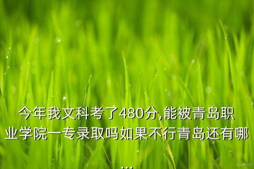 今年我文科考了480分,能被青島職業(yè)學(xué)院一專錄取嗎如果不行青島還有哪...