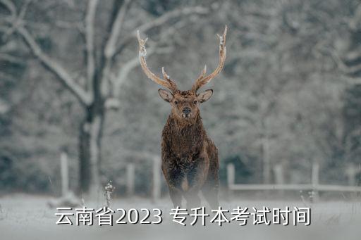  云南省2023 專升本考試時間