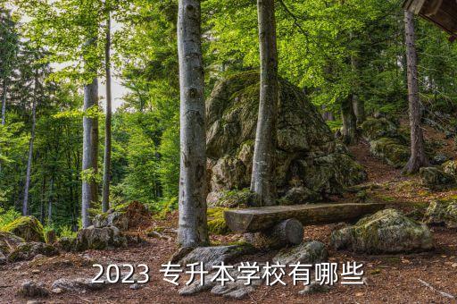 2023 專升本學(xué)校有哪些