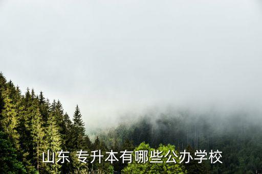  山東 專升本有哪些公辦學(xué)校