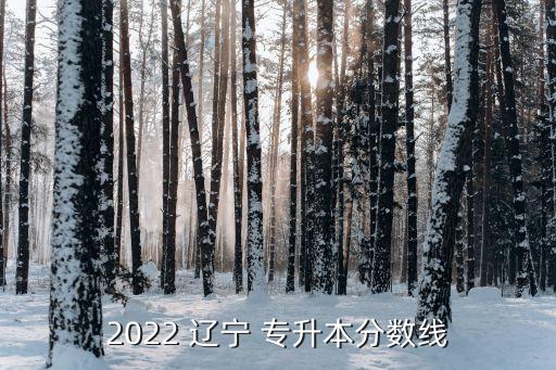 遼寧專升本專業(yè)課成績(jī),遼寧護(hù)理專升本專業(yè)課考試題型