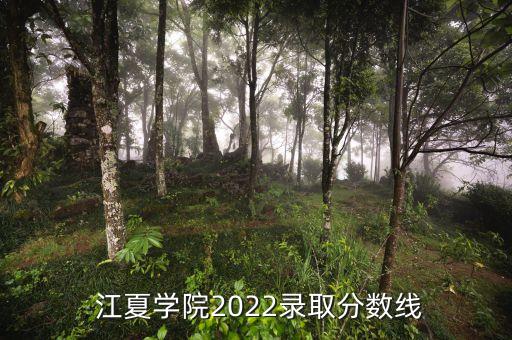  江夏學(xué)院2022錄取分?jǐn)?shù)線