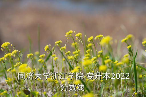  同濟大學浙江學院 專升本2022分數(shù)線