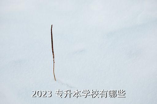 2023 專升本學(xué)校有哪些