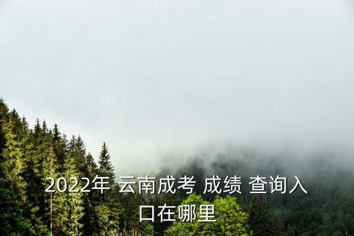 2022年 云南成考 成績 查詢入口在哪里