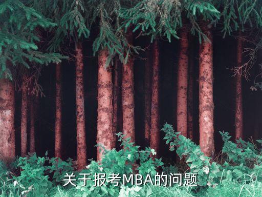 關于報考MBA的問題