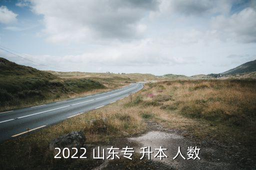 2022 山東專 升本 人數(shù)