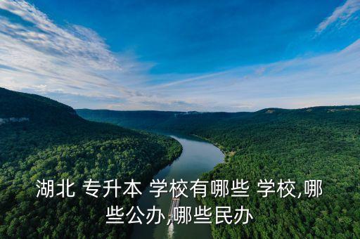 湖北 專升本 學(xué)校有哪些 學(xué)校,哪些公辦,哪些民辦