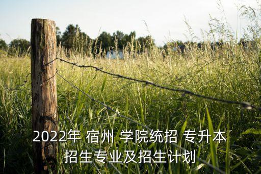 2022年 宿州 學(xué)院統(tǒng)招 專升本招生專業(yè)及招生計劃