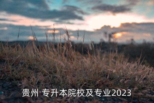 貴州 專(zhuān)升本院校及專(zhuān)業(yè)2023