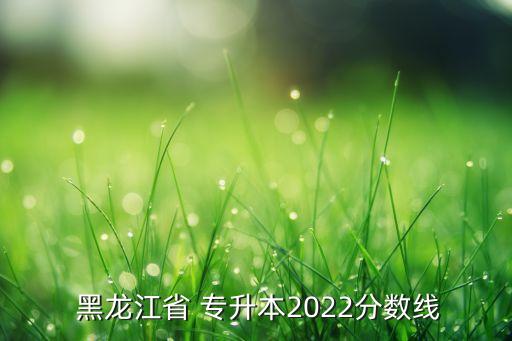  黑龍江省 專升本2022分?jǐn)?shù)線